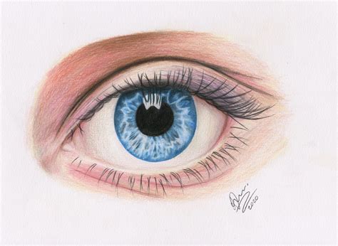 Blue Eye Drawing Colored Pencil