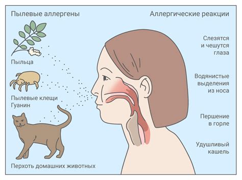 Аллергия на пыль: всё о симптомах и лечении