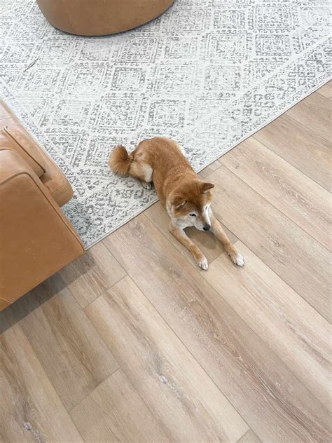 Coretec Cairo Oak Review - Oh Happy Joy!