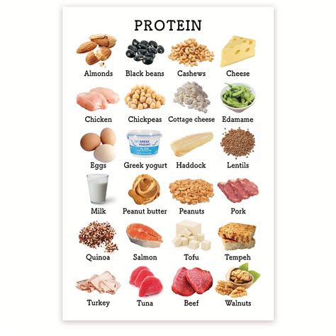 Snapklik.com : BMCP0469 - Healthy Eating Nutrition Chart - Protein Food ...