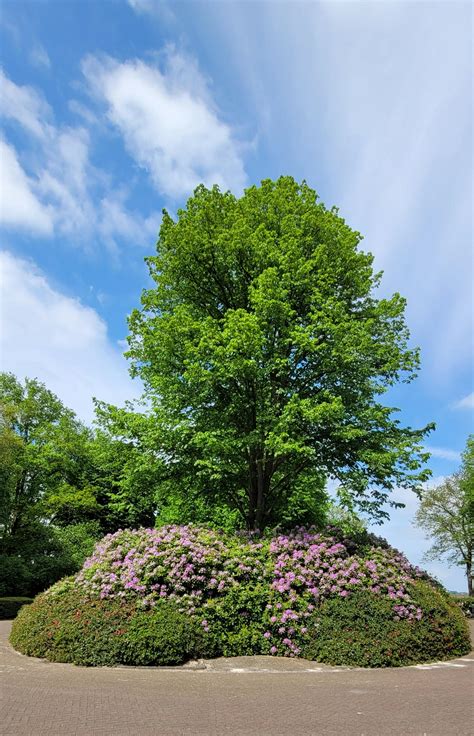 Mom+Big+Boobs Photos, Download The BEST Free Mom+Big+Boobs Stock Photos ...