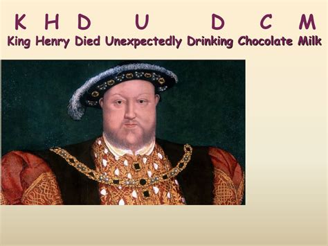 King Henry Chocolate Milk