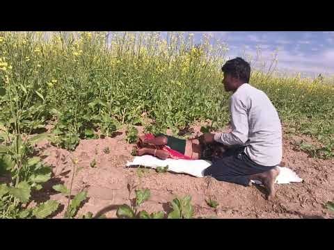 Khet me Mangal 🥶🥵😱