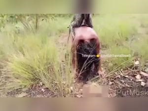 woman dog sex - AnimalSex.fun