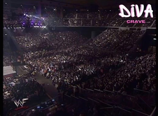 Terri Runnels and Molly Holly fight at WWF Insurrextion - May 2001@theterrirunnels