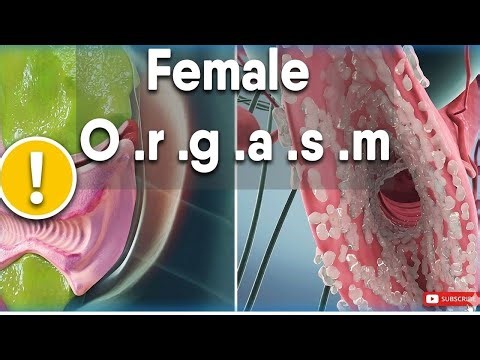 Female Orgasm Breakdown | What's Actually Happening