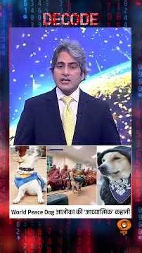 #decodewithsudhirchaudhary : Peace Dog Aloka की कहानी | #sudhirchaudhary | Walk For Peace