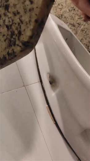 Brazilian straight guys pissing at bathroom,watch full and uncensored on: https://t.co/kVNtsVQ0kY#foreskin #straightmen #urinal #brazilian #dick #uncut #chudai #peeing #cock #urinal #gayamauter #Bathroom