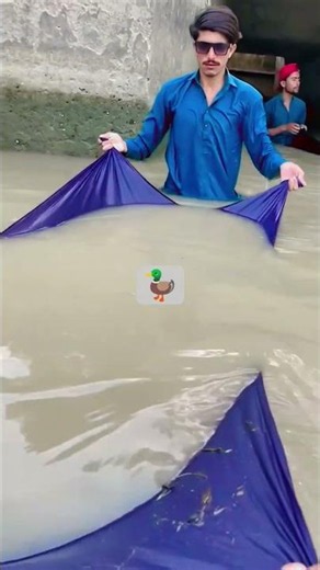 #fish 🐠🐋🐟 #fishing 🎣🎣