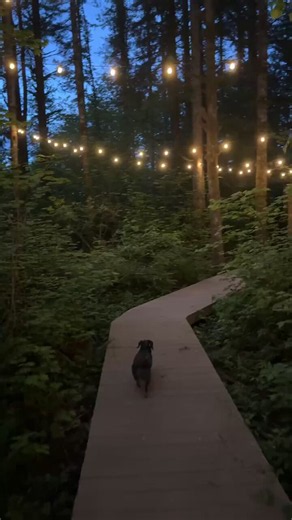 We had so much fun celebrating our 10 years together. I love you coco 🥰🌲