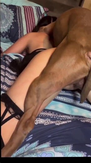 Good girl knotted raw by my k9 💦💦🐾🐶🐕‍🦺🐶DM for menu!! TELEGRAM https://t.co/gYCmvQY5s5#zoophilia #bestiality #doglover #dogknotting #dogsex #knotty #dogpill #dog #dogwoman #zoocontent #teenagegirls#nolimit #dogwhore#horsephiles