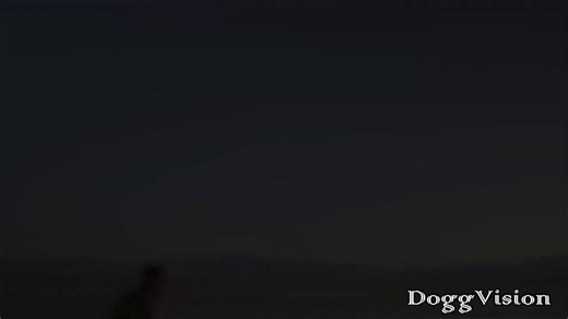 🍒Juicy sales on @faphousecom! 💸💘Big Boobs PAWG Pounded in the Desert💘 [1080p]➡https://t.co/ZpvcpEpdDe ⬅#Blowjob #Bbw #Tits #Creampie #Outdoor #Pawg #BigTits #EatingPussy #BigCock https://t.co/9GAHMa5iuL