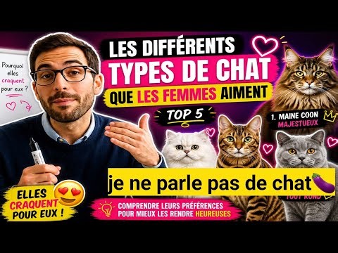 Les différents types de chats que possèdent les femmes 