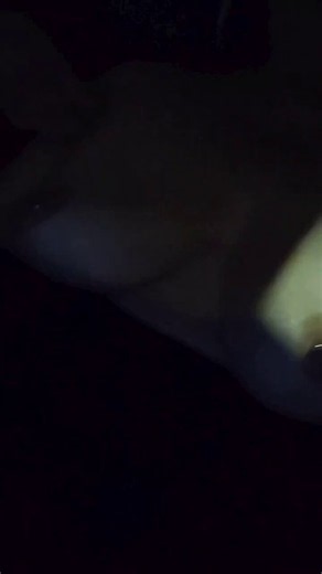 🔥 Creampie Eva 🔥 (@BustyBitchEva82) on X