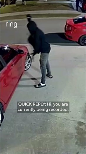 A group of people are seen checking cars, but Motion Warning sends them running! 🏃