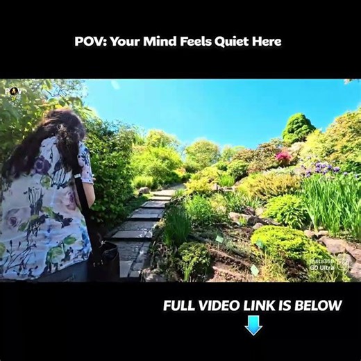 POV: Your mind feel quiet here 🇩🇰
