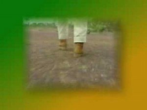 Outback Jack Titan Tron Video