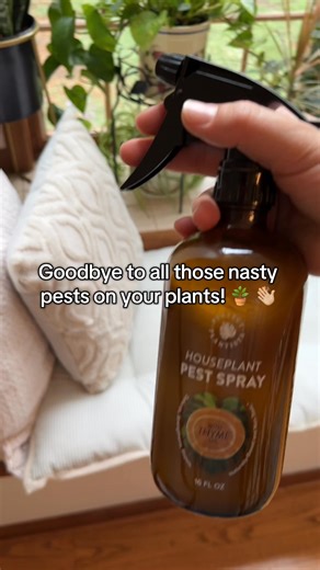 Neem oil is out, thyme oil is in. 🌿 Our natural blend of thyme, cinnamon bark, and peppermint oils wipes out pests fast and smells amazing. | Perfect Plantista