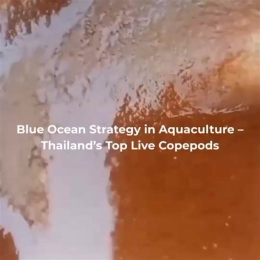 🦁 Lion Pods – Premium Live Copepods for Sale (Worldwide Export) Unlike typical online sellers, Lion Pods is Thailand’s actual producer of Tigriopus sirindhornae – a Royal-Endorsed, endemic copepod species mass-cultured under GAP-certified standards with ARDA & Smithsonian recognition. 📹 Behind-the-Scenes Video Footage See our live copepods under the microscope, freshly harvested from production tanks, feeding young clownfish and mandarin dragonets, enhancing survival, coloration, and natural f