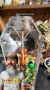 Lilith, you are a beast! | The Molinaro Snake Lab