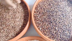 3.1K views · 18 reactions | Green Agro on Reels | Facebook