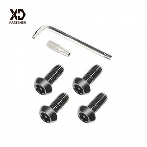 [Hot Item] Anti-Theft License Plate Screws Car Licence Plate Screws