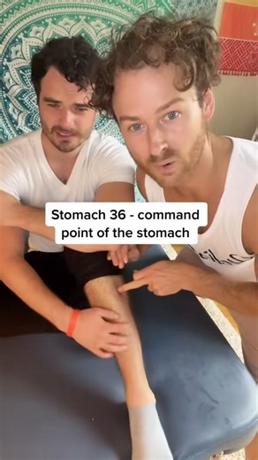 Treating all major distal points of the stomach channel with gua sha, #healthy #lungs #foodismedicine #holistic | Holistic Uni