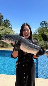 608K views · 13K reactions | SALMÃO GRAVLAX  A receita das...