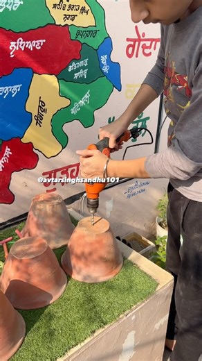 Preparing Terrace Garden for Winters #garden #terracegarden #viral #terracegardening #terraceculture | GreenLife Diaries