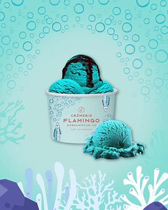 15K views | ZOO Antwerpen on Reels | Facebook