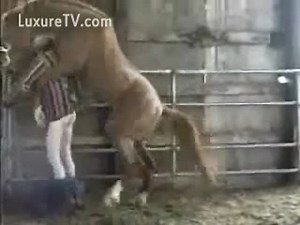 Sex charged ranch helper drops his pants for beast sex with a horse