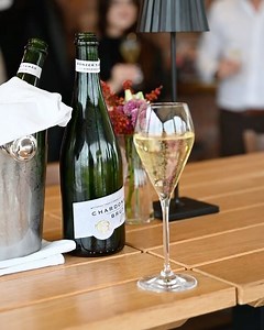 Andrea Molnar official on Reels