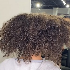 Her First Silk Press Ever 🤩 | HairStyles by Eden