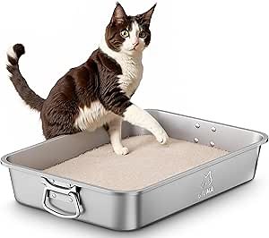 Amazon.com: Extra Large Cat Litter Box: Pet Supplies