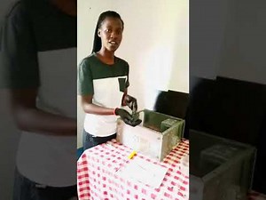 DISASSEMBLING AND ASSEMBLING A COMPUTER SYSTEM