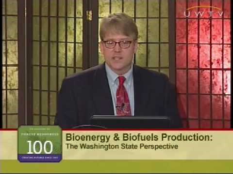 Bioenergy and Biofuels: An Overview of Bioenergy and Biofuels Production