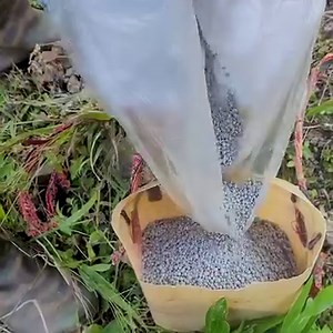 Go establishing trees with the twins - Homeless mother | Lucia Winters