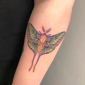 A smorgasbord of winged critters by Yasmin! Have a great weekend!! | Flaming Art Tattoo