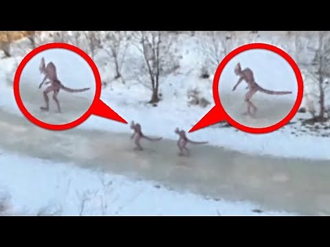 Drone Captures What No One Was Supposed to See