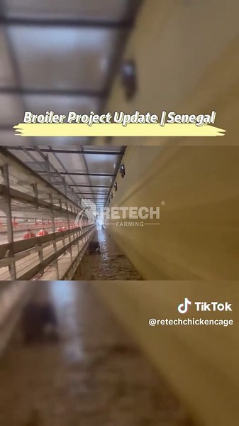 RETECH Broiler Project Update: Poultry Farming Solutions