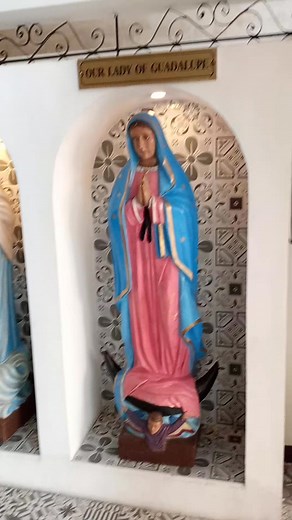 3.4K views · 153 reactions | I believe in the Holy Ghost, the holy Catholic church the communion of saints, the forgiveness of sins, the resurrection of the body, and the life everlasting. Amen | Catholic Tradition & Evangelization | Facebook