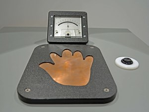 Static Electricity Sensor — Science Kinetics