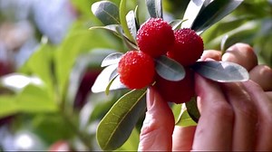 China Media Group launched the 2024 Chinese Farmers' Harvest Festival Gala on Sunday, spreading the joy of #harvest celebrations nationwide. The gala highlighted vibrant festival scenes, rural revitalization, and the happiness of farmers. #NationalDay #PRC75Years #ChinaTravel #Farmlife #EcoCivilization #ColorfulChina | China Plus America | Facebook