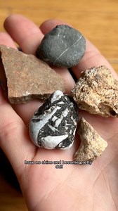 23K views · 218 reactions | I Tumbled Rocks Until They Turned Into...