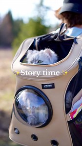 New Bounding Activity with my cat Alvin 😍🤍. Now he can enjoy watching the bird from so close - it changed our whole dynamic sharing adventures together. . . . #catbackpack #travelcat #adventurecat #hikingwithcat #catsoftiktok #cat #catlife | ARTHÉMIS