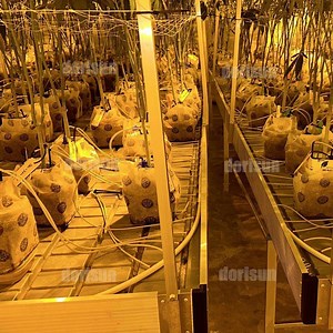 [Hot Item] Hydroponic Ebb and Flow System Trays Flood Tray Table for Greenhouse Hydroponics Growing System