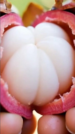 How to Eat Mangosteen (Mangosteen Guide) | Easy Way to Open & Enjoy!