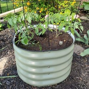 [Hot Item] Preparing Raised Beds for Spring Rr606045