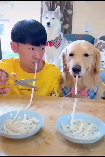 4.8K views · 71 reactions | Jenny Morris on Reels | Facebook