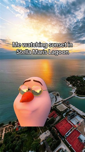 Nothing like it, honestly. 🥹🫶 Invoke the sun at seastarfestival.com ☀️ #Umag #SeaStar2024 | Sea Star Festival